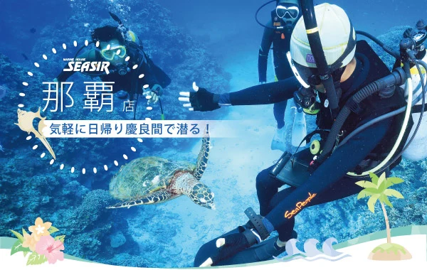 นักดำน้ำกับครูฝึกในทริปดำน้ำเครามะของ Marine House SEASIR