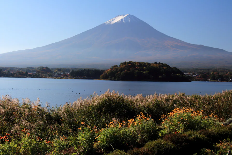 Oishi Park ริม Lake Kawaguchi พร้อมวิวภูเขาไฟฟูจิ จุดหมายของทั้ง Red Line Bus และ Oishi Park Line