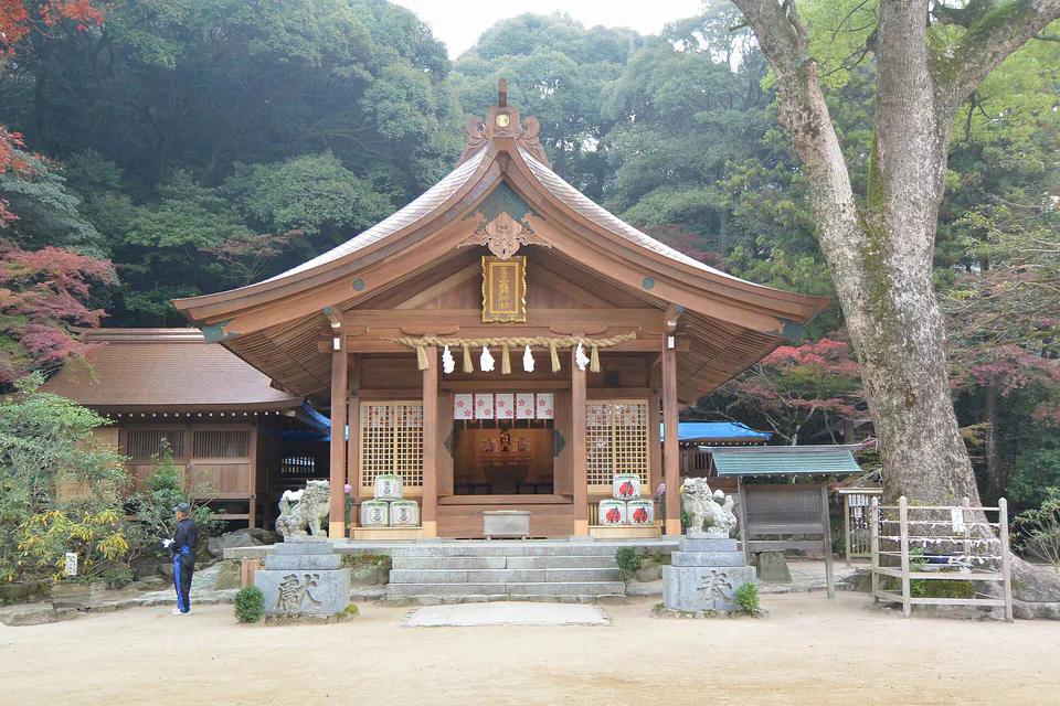 Day Trip ใบไม้เปลี่ยนสีจากฟุกุโอกะ|Dazaifu, Akizuki, Raizan หรือ Yabakei เลือกจากวันเดินทางก่อน