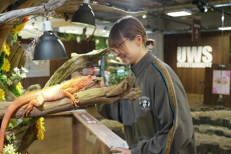 ประสบการณ์ให้อาหารจิ้งจกในพิพิธภัณฑ์สัตว์นานาชาติ Nara ในระยะใกล้