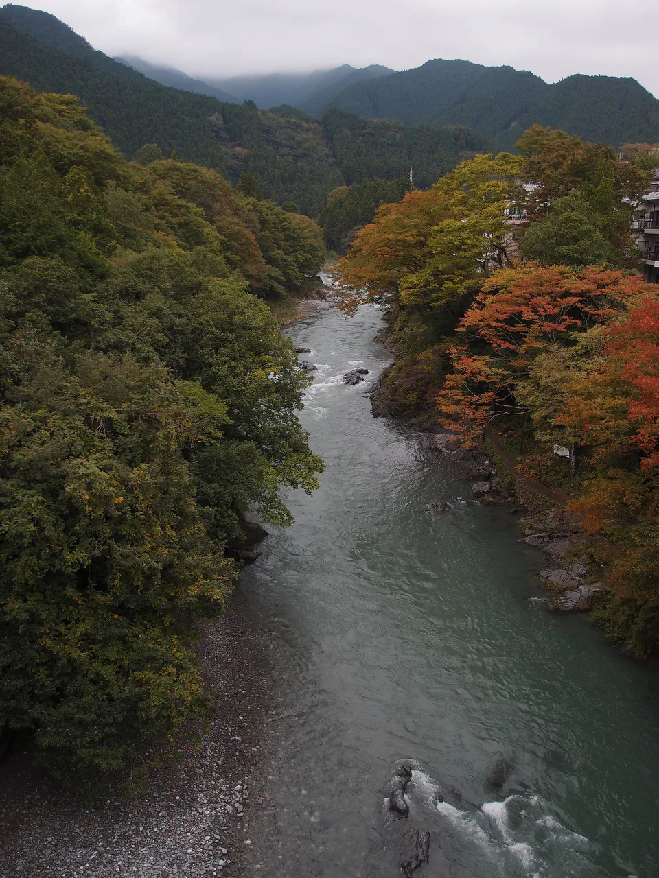 ใบไม้เปลี่ยนสีโอคุทามะ｜ไม่เช่ารถควรเลือก Mitake Gorge, Okutama Station, Lake Okutama หรือ Nippara?