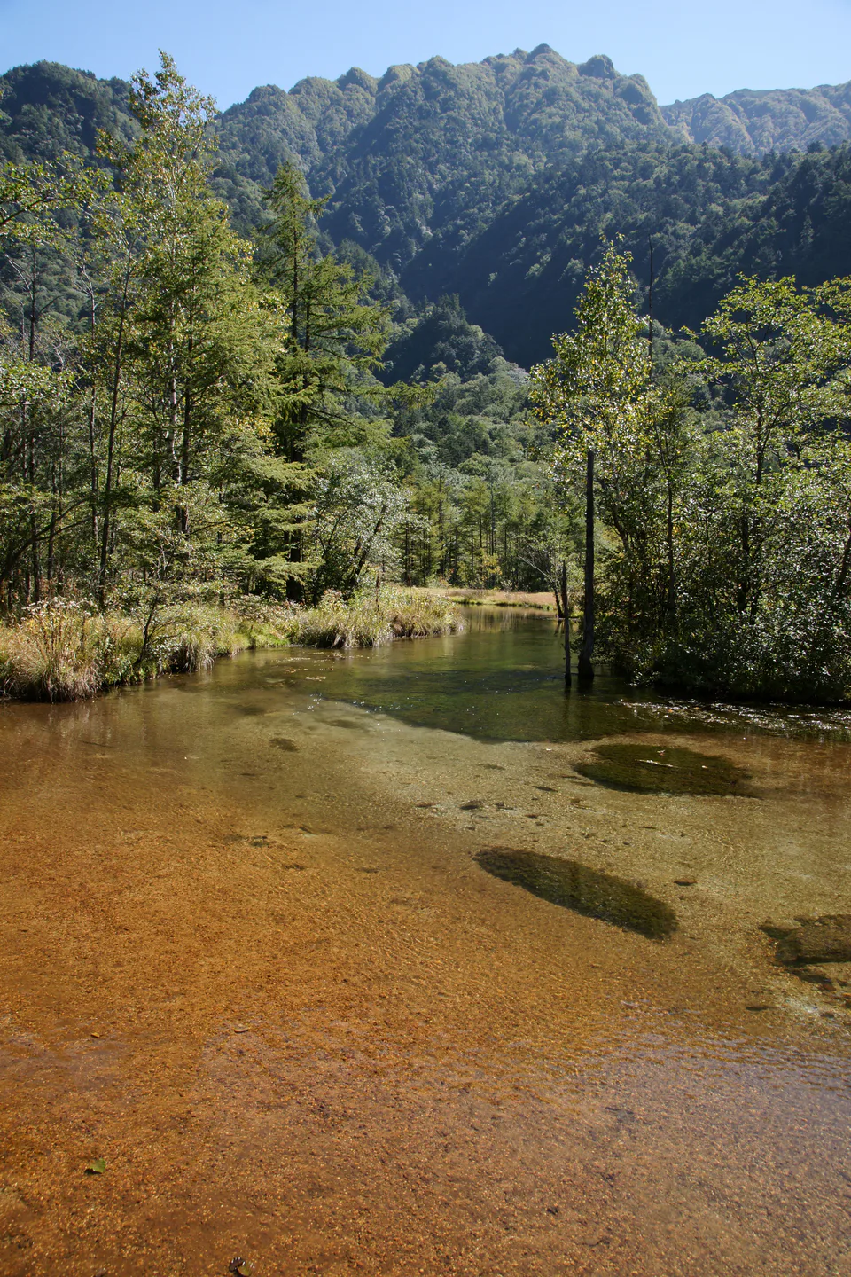 ทางเดินไม้และพื้นที่ชุ่มน้ำใกล้ Tashiro Pond ในคามิโคจิ