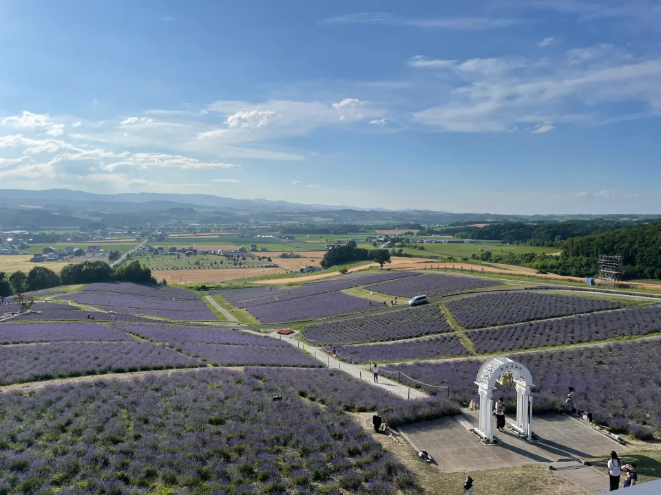 สวนดอกลาเวนเดอร์ที่อุทยานฮิรานะอิชิชิในฟูราโน่บนเขา