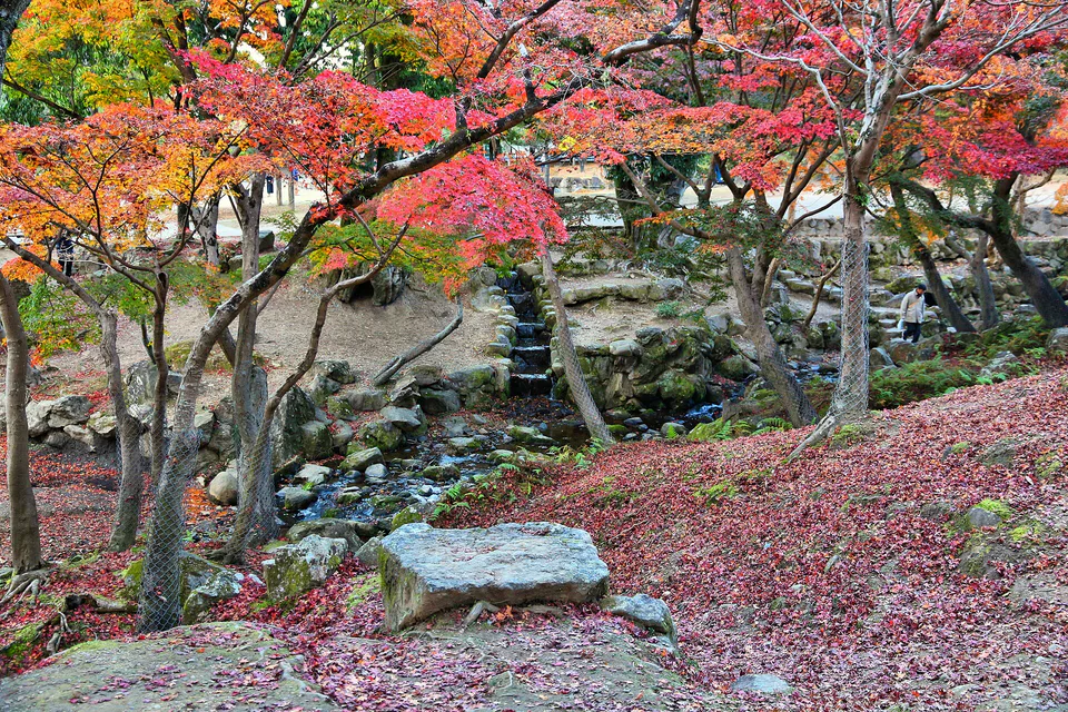 ใบไม้เปลี่ยนสีนารา 1 วัน｜Nara Park, Tanzan Jinja หรือ Hasedera เลือกที่ไหนดี?