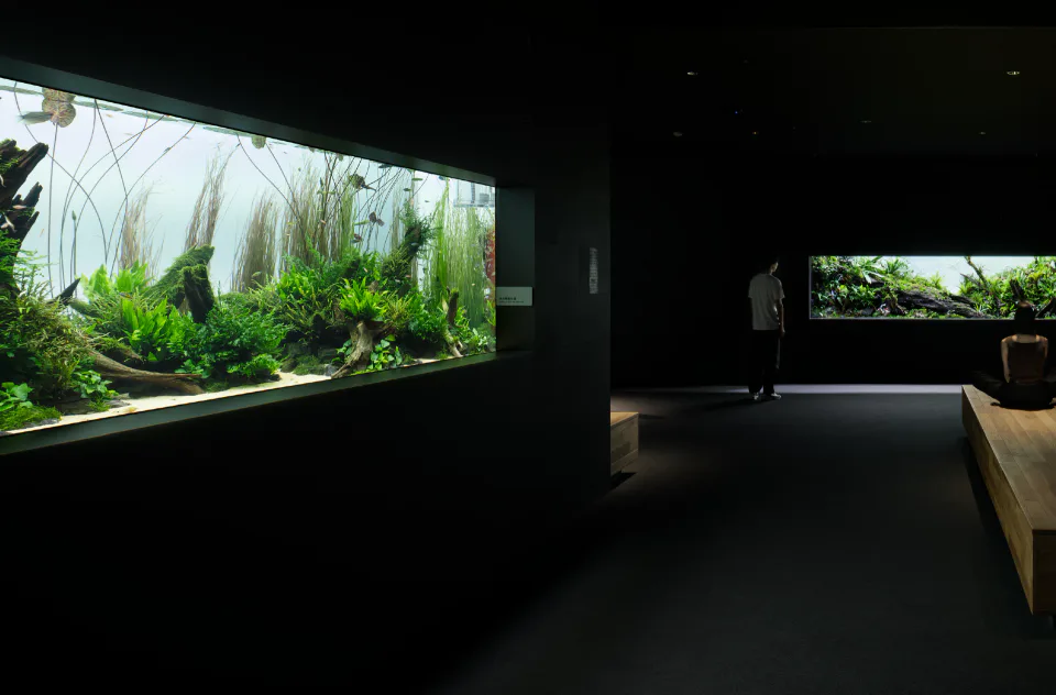 AOAO SAPPORO ชั้น 5 Nature Aquarium แสดงภาพธรรมชาติของพืชน้ำและสิ่งมีชีวิตในน้ำ