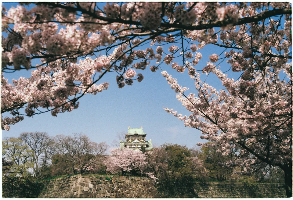 Osaka Castle ควรเป็น anchor ช่วงกลางวัน ไม่ใช่พื้นที่สำหรับเก็บทุกสิทธิ์ใน Osaka Amazing Pass