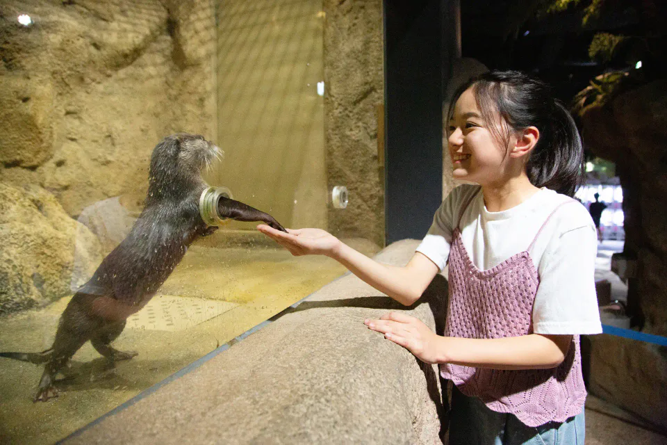 ประสบการณ์ให้อาหารนากทะเลใกล้ชิดที่ DMM Kariyushi Aquarium